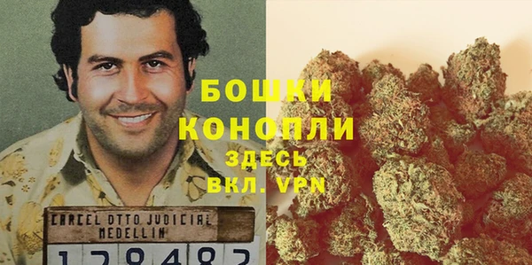 ГАЛЛЮЦИНОГЕННЫЕ ГРИБЫ Нефтегорск