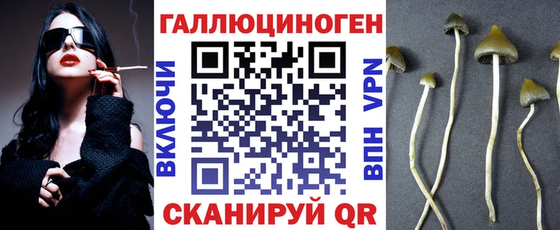 Купить закладки  Нестеровская  Галлюциногенные грибы GOLDEN TEACHER 